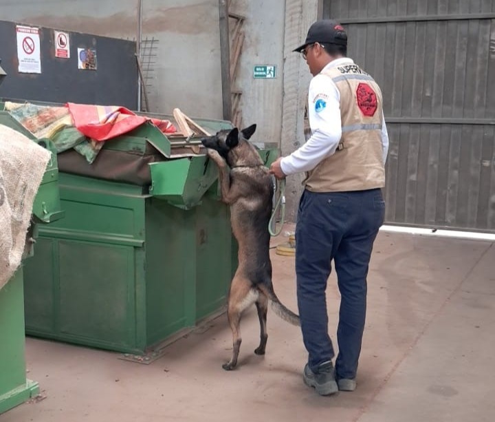 Bodyguard